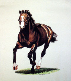 Horsepower Tshirt